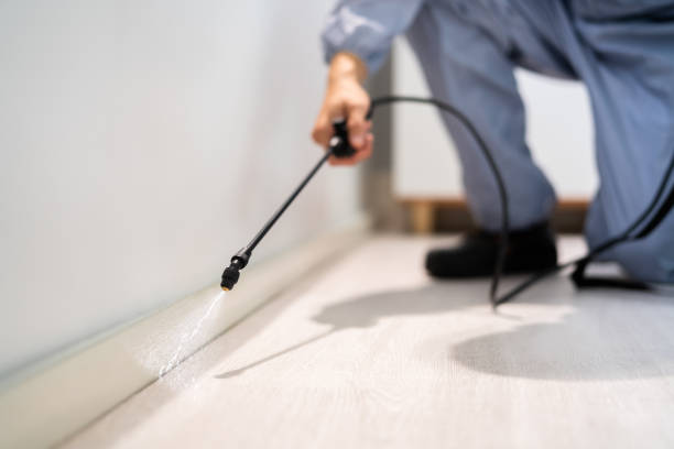 Certified termite inspector examining foundation in Granite